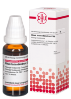 RHUS TOXICODENDRON C 30 Dilution