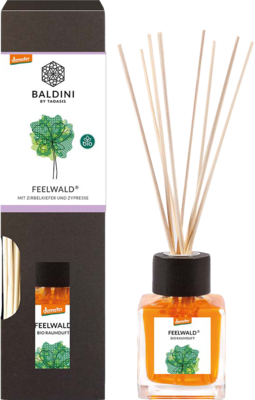 BALDINI Raumduft Feelwald Bio Set