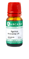 AGARICUS MUSCARIUS LM 13 Dilution