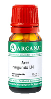 ACER negundo LM 30 Dilution