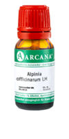 ALPINIA OFFICINARUM LM 20 Dilution