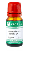 AMMONIACUM dorema LM 13 Dilution