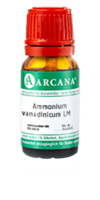 AMMONIUM VANADINICUM LM 5 Dilution