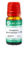 AMMONIUM VANADINICUM LM 6 Dilution