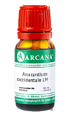 ANACARDIUM OCCIDENTALE LM 2 Dilution