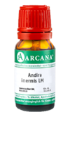 ANDIRA inermis LM 11 Dilution