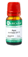 AQUA SANICULA LM 6 Dilution