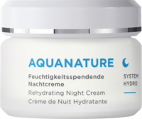 BÖRLIND AquaNature Nachtcreme